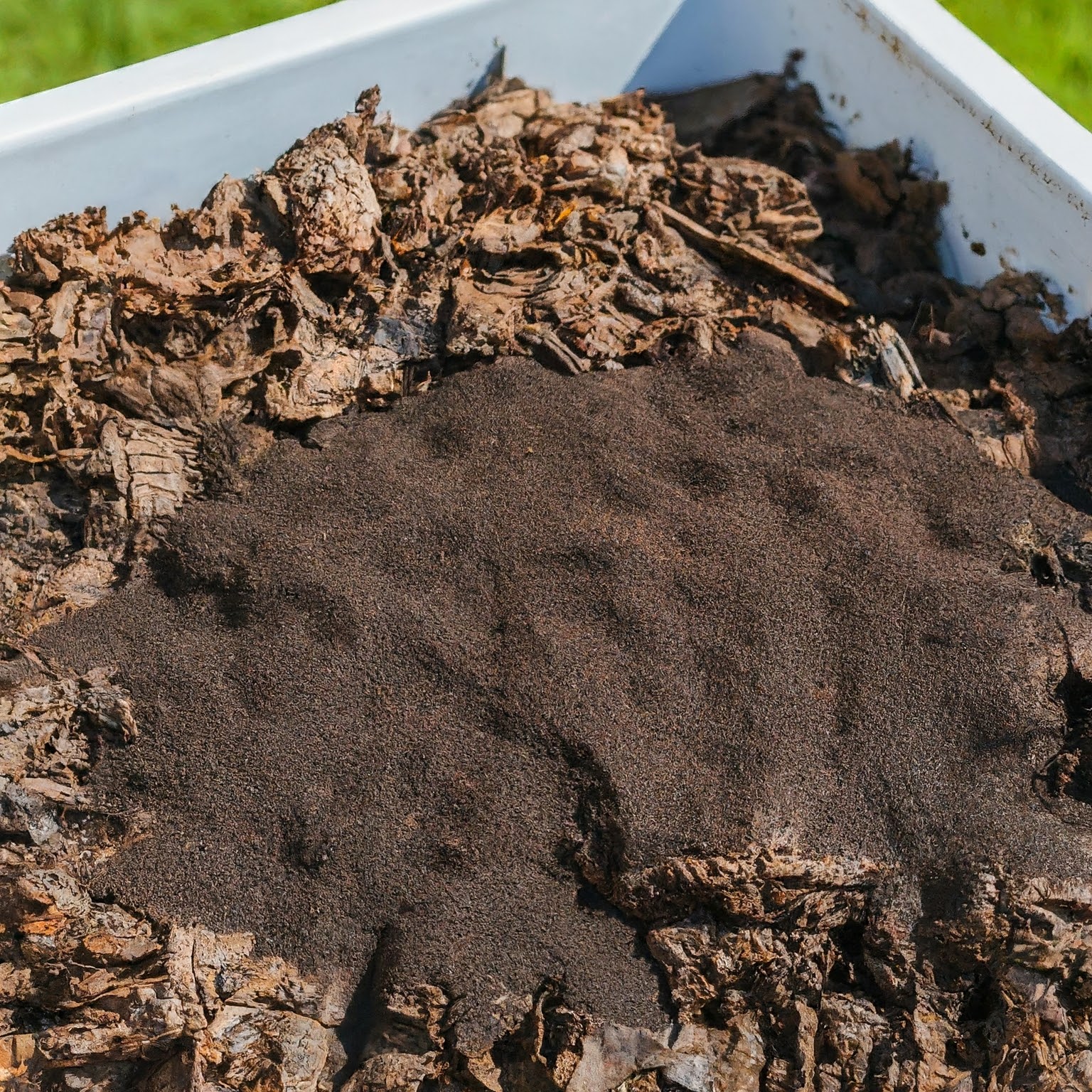 worm bin with coffee grounds